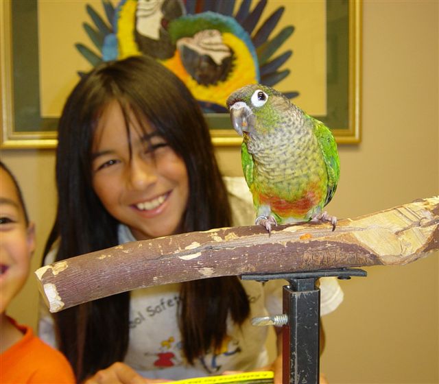 The Medical Center for Birds Oakley, CA